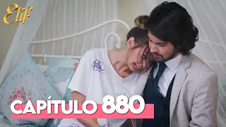 Elif Cuarta Temporada Capítulo 880 | Elif Capítulo 880