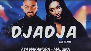 Aya Nakamura feat. Maluma - Djadja Remix (Lyrics)