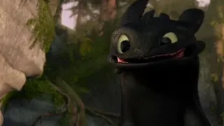 Как приручить дракона. Кредо HTTYD.