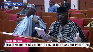 Senate Mandate Committee To Ensure Nigerians Are Protected