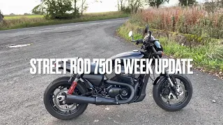 Harley-Davidson Street Rod 750 6 Week Update + Tail Tidy