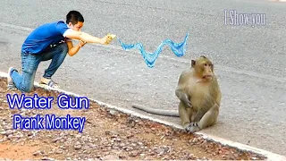 WATER GUN SPRAY PRANK MONKEY  || Funny Monkey Video || Monkey funny video || monkey prank video