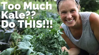 The Best Way to Preserve Kale to Eat All Year Round | How to Make Kale Powder | Garden Preservation