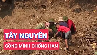 Tây Nguyên đang gồng mình chống hạn khắc nghiệt