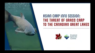 Asian Carp Information Session: The Threat of Grass Carp to the Canadian Waters of the Great Lakes