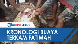 Kronologi Fatimah Diterkam Buaya 6 Meter, Potongan Tubuh Ditemukan di Perut Buaya, Kepalanya Lepas