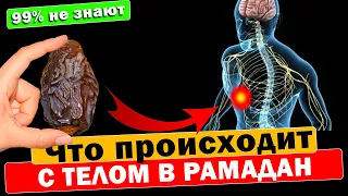 Почему мусульмане держат пост? В ЧЕМ ЗАКЛЮЧАЕТСЯ ИСТИННЫЙ СМЫСЛ ПОСТА В МЕСЯЦ РАМАДАН? Польза поста