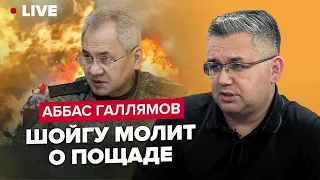 ГАЛЛЯМОВ: Шойгу заговорив про мир / У Путіна не залишилося варіантів / Лавров попередив Київ