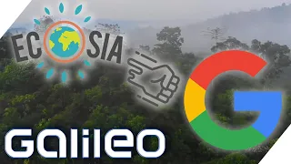 ECOSIA: So will die Anti-Google Firma die Erde grüner machen! | Galileo | ProSieben