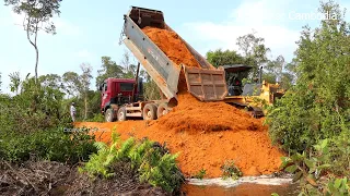 Amazing Make New Road Project With Smart Bulldozer Pushing Soil With 25.5 Ton Dump Truck Unloading