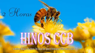 5 Horas de Belos Hinos CCB Hinário 5 hinos cantados ccb 2021