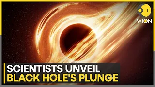 Unlocking Black Hole's secrets: Black hole image reveals details of turmoil around abyss | WION