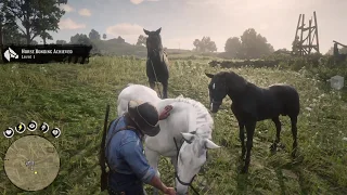 RDR2 TIPS TRICKS // How To SteaL BraitHwaite HorSes