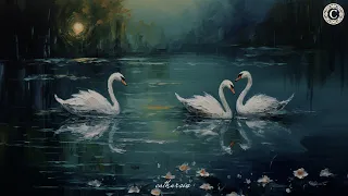 a playlist to feel like you’re in the place of swan lake pt. 2