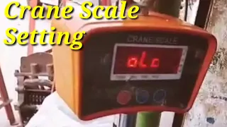 Calibration Crane Scale 500kg by Care International Scale in Hibdi | Hanging Scale