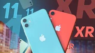 Подробное сравнение iPhone 11 и XR