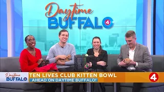 Daytime Buffalo: Ten Live Club Kitten Bowl!