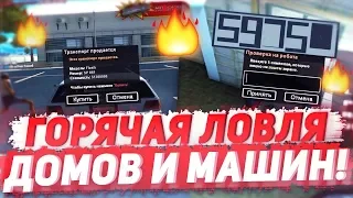 ЛОВЛЯ ДОМОВ И МАШИН ПО ГОСУ НА ARIZONA RP YUMA В GTA SAMP