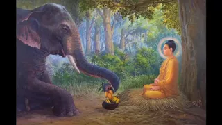 Buddha Story in Marathi