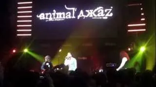 2 - Animal ДжаZ (Animal Jazz) - Поздно - PREMIO 13.10.12.mp4