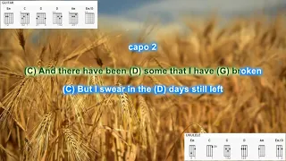 Fields of Gold (capo 2) by Eva Cassidy  play along with scrolling guitar chords and lyrics