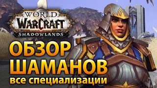 Этот тотем ОЧЕНЬ КРУТ! Обзор ШАМАНОВ WoW Shadowlands (Все специализации)