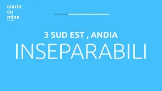 Inseparabili - 3 Sud Est x Andia ( #Cantacumine Karaoke )