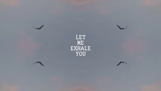 Exhale You Lyric Video (As seen on Grey's Anatomy Season 19 Episode 15)