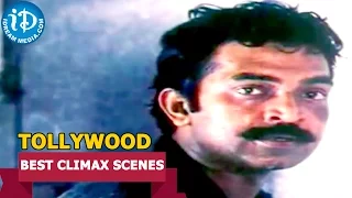 Tollywood Movies Best Climax Scenes || Ankusham Movie