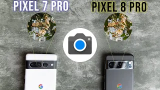 Pixel 8 Pro vs Pixel 7 Pro: Camera Comparison