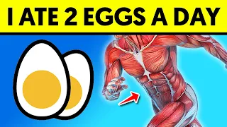 Eat 2 Eggs Every Day and See What Happens To Your Body
