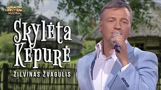 Žilvinas Žvagulis - Skylėta Kepurė (Lyric Video). Lietuviška Daina