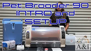 Rcom Curadle Pet Brooder 90 Introduction and Setup (CC recommended to follow along!)