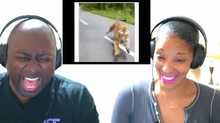 TONY BAKER - CAT COMEDY VOICEOVER (REACTION!!!)