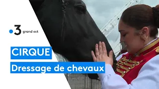 Cirque : héritière d'Arlette Gruss et dresseuse de chevaux