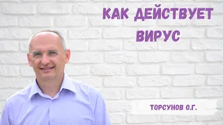 Торсунов О.Г.  Как действует вирус