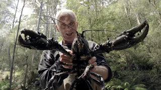 Il parvient à pêcher une écrevisse géante ! - Jeremy Wade, en eaux troubles