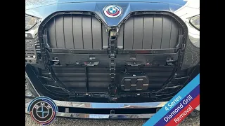 BMW 4 Series Grill Removal - No Bumper Removal