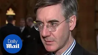 Jacob Rees-Mogg: Delaying Brexit is an attempt to thwart Brexit