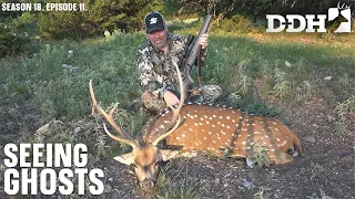 The Elusive Axis Deer | Deer & Deer Hunting TV