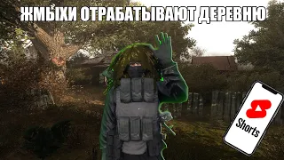 ЖМЫХИ ОТРАБАТЫВАЮТ ДЕРЕВНЮ | ПРИКЛЮЧЕНИЯ ДОБРЯКА | #shorts #dayzrpstalker #shortsvideo