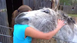 25 Animal Reunions With Humans That Will Make You Cry