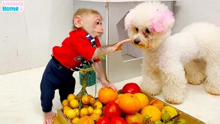 Naughty Obi stealing fruit from dog Amee so fun