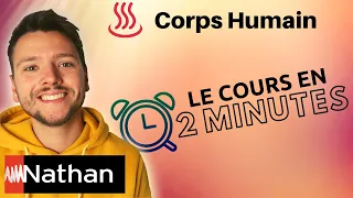 BILAN THERMIQUE DU CORPS HUMAIN - 1ere Enseignement Scientifique