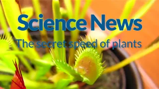 The secret speed of plants | Science News