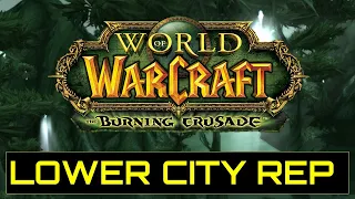 WOW TBC: 3 WAYS TO GET LOWER CITY REPUTATION: Quick Reference Guide.