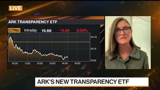 Cathie Wood on New ETF, Investing Strategy