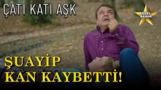 Şuayip'in Sineklerle Başı Dertte! -  Çatı Katı Aşk Özel Klip