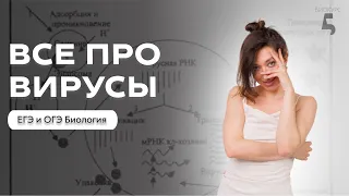 САМЫЙ ПОЛНЫЙ РАЗБОР ТЕМЫ: вирусы к ОГЭ и ЕГЭ по Биологии