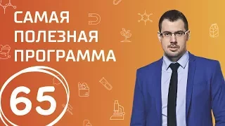 Лайфхаки для жизни. Выпуск 65 (21.10.2017). Самая полезная программа.